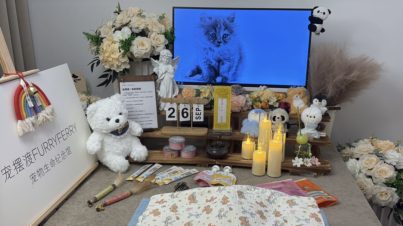 一、办理全流程说明