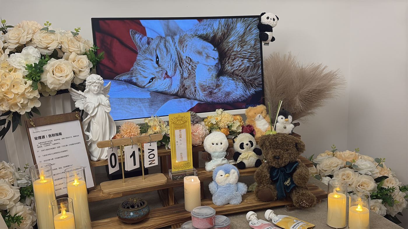 如何面对宠物离世的悲伤？写给湖州养宠人的心理支持