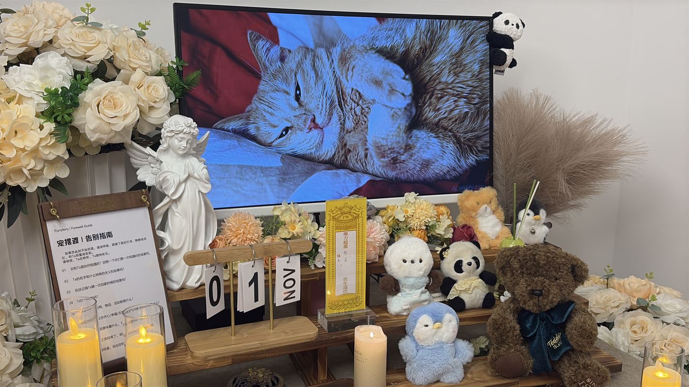 需要提前准备好这些